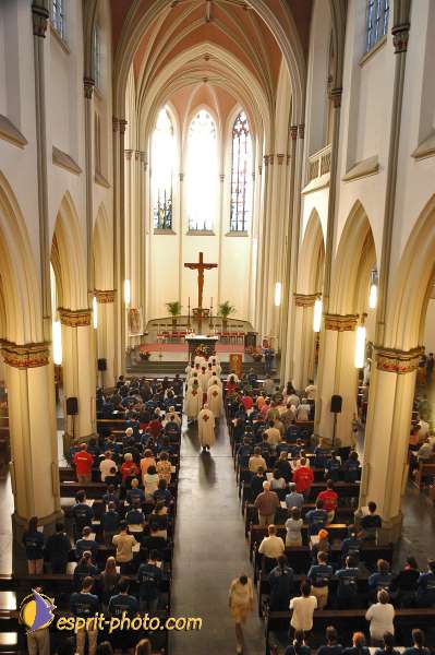 Jmj Avortement