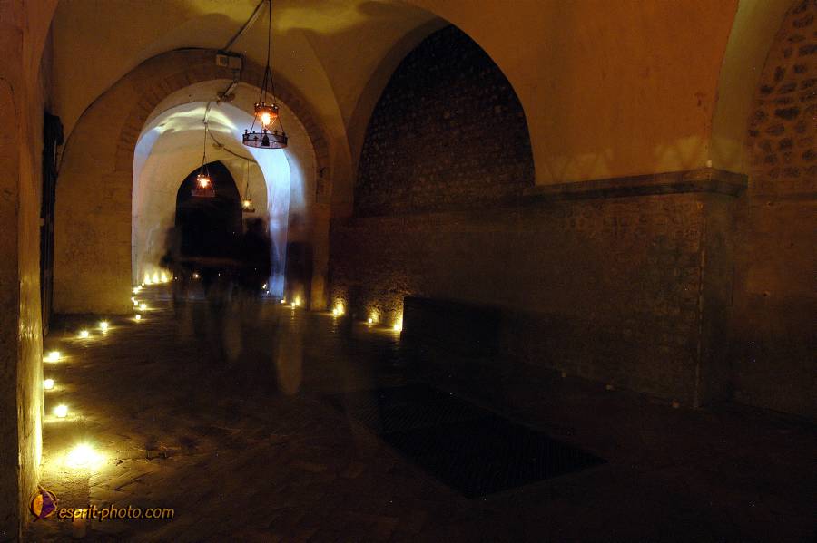 Nom de l'image : D1120661-01.jpg_(c)Norbert-JUNG — Description :