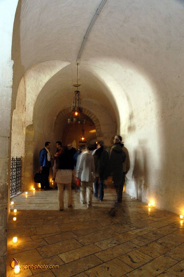 Nom de l'image : D1120670-01.jpg_(c)Norbert-JUNG — Description :