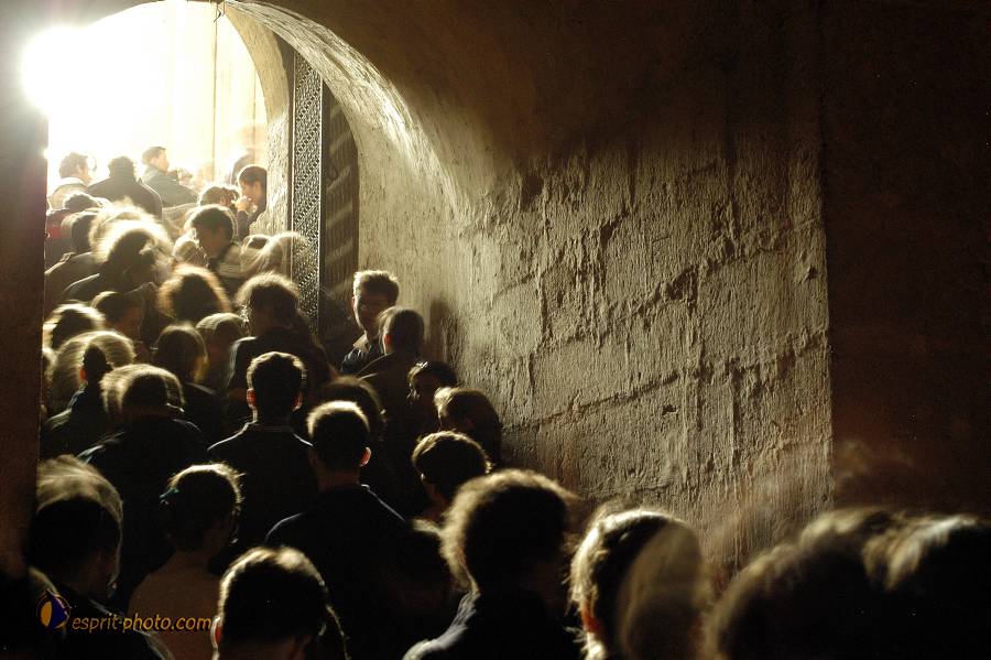 Nom de l'image : D1120714-01.jpg_(c)Norbert-JUNG — Description :