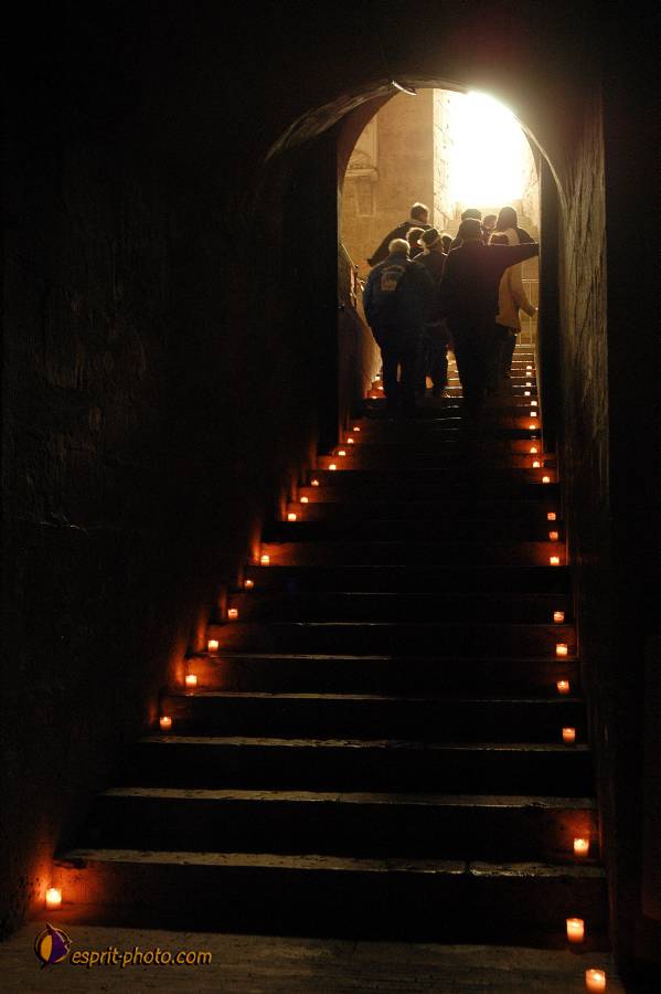 Nom de l'image : D1120732-01.jpg_(c)Norbert-JUNG — Description :