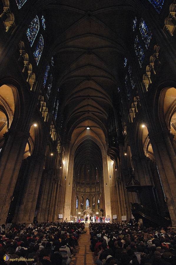 Nom de l'image : D2142980_1_(c)Norbert-JUNG — Description :