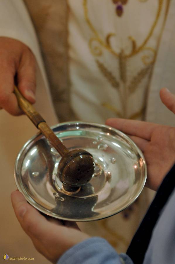 Nom de l'image : D2236221_1_(c)Norbert-JUNG — Description :