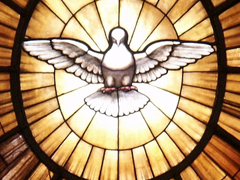 Paroisse Saint Jean Baptiste Libourne Gironde