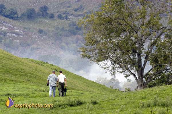 Nom de l'image : EP08-0126 — Description :