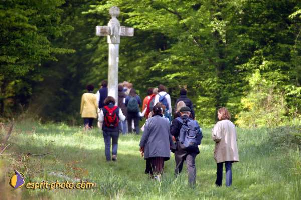 Nom de l'image : EP08-0162 — Description :