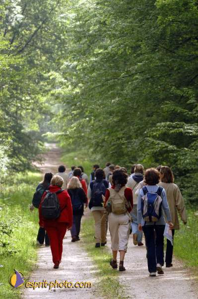 Nom de l'image : EP08-0163 — Description :