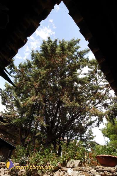 Nom de l'image : EP08-0209 — Description :  Franciscaini Rinovati à Corleone (Sicile)