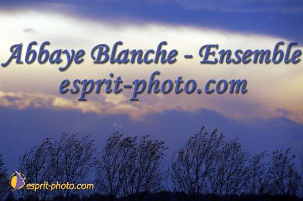 Nom de l'image : EP08-0280 — Description :