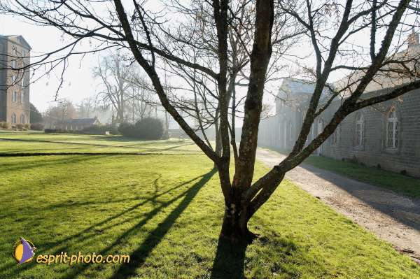 Nom de l'image : EP08-0303 — Description :