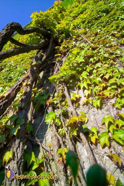 Nom de l'image : EP08-0306 — Description :