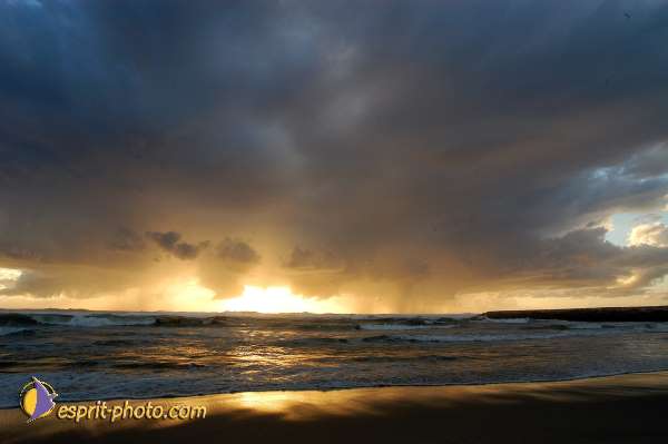 Nom de l'image : EP08-0342 — Description :  Vagues (Atlantique - Portugal - Dunes de la Costa do Prata)