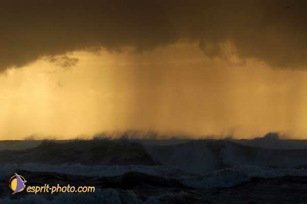 Nom de l'image : EP08-0345 — Description :  Vagues (Atlantique - Portugal - Dunes de la Costa do Prata)