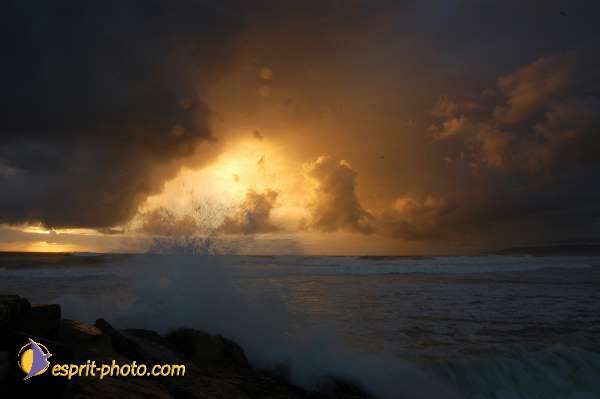 Nom de l'image : EP08-0346 — Description :  Vagues (Atlantique - Portugal - Dunes de la Costa do Prata)