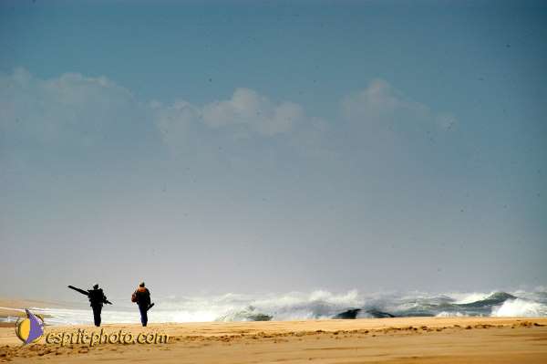 Nom de l'image : EP08-0347 — Description :  Vagues (Atlantique - Portugal - Costa do Prata)