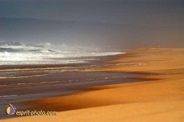 Nom de l'image : EP08-0348 — Description :  Vagues (Atlantique - Portugal - Costa do Prata)