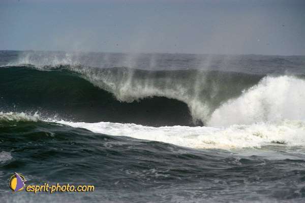 Nom de l'image : EP08-0360 — Description :  Vagues (Atlantique - Portugal - Dunes de la Costa do Prata)