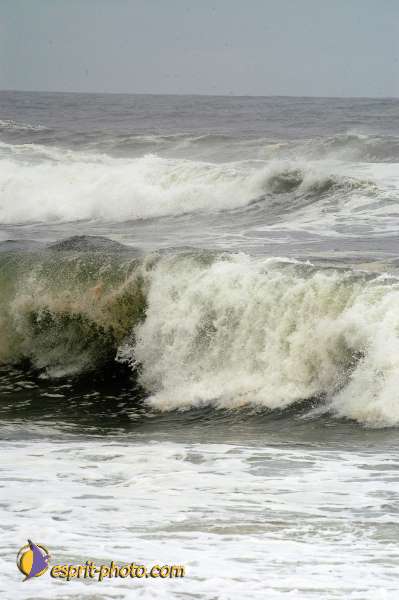 Nom de l'image : EP08-0361 — Description :  Vagues (Atlantique - Portugal - Dunes de la Costa do Prata)