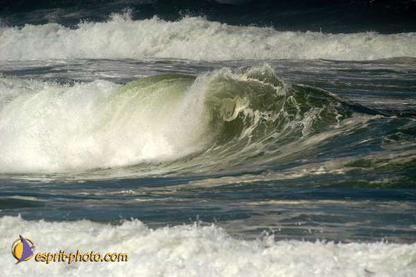 Nom de l'image : EP08-0362 — Description :  Vagues (Atlantique - Portugal - Costa do Prata)