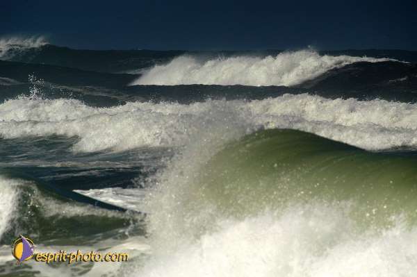 Nom de l'image : EP08-0364 — Description :  Vagues (Atlantique - Portugal - Costa do Prata)