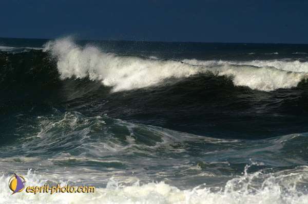 Nom de l'image : EP08-0365 — Description :  Vagues (Atlantique - Portugal - Costa do Prata)