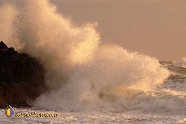 Nom de l'image : EP08-0371 — Description :  Vagues à Sabaudia (Latina-Italie)