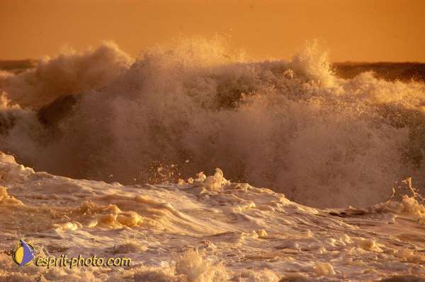 Nom de l'image : EP08-0377 — Description :  Vagues à Sabaudia (Latina-Italie)