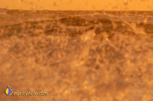 Nom de l'image : EP08-0379 — Description :  Vagues à Sabaudia (Latina-Italie)