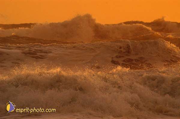 Nom de l'image : EP08-0380 — Description :  Vagues à Sabaudia (Latina-Italie)