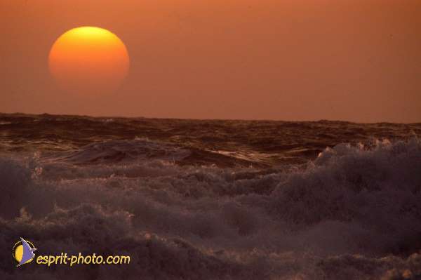 Nom de l'image : EP08-0382 — Description :  Vagues à Sabaudia (Latina-Italie)