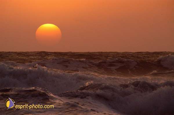 Nom de l'image : EP08-0383 — Description :  Vagues à Sabaudia (Latina-Italie)