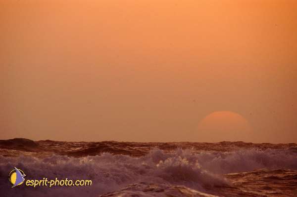 Nom de l'image : EP08-0384 — Description :  Vagues à Sabaudia (Latina-Italie)