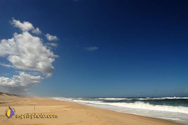 Nom de l'image : EP08-0393 — Description :  Vagues (Atlantique - Portugal - Costa do Prata)