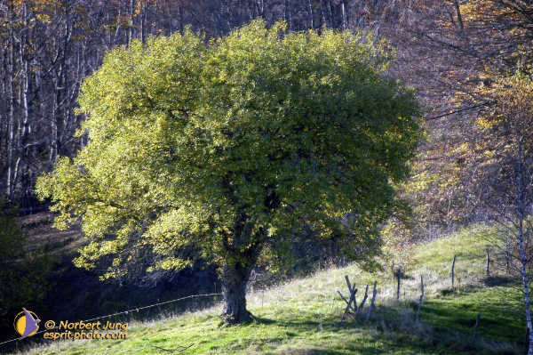 Nom de l'image : Fond_D_Ecran_D1010140-01 — Description :