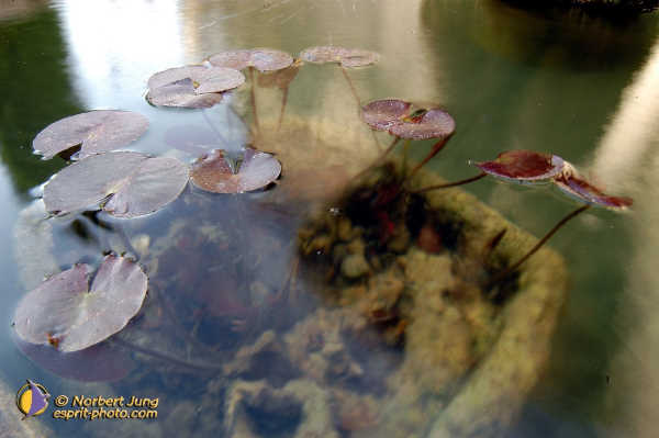 Nom de l'image : Fond_D_Ecran_D1035135-01 — Description :