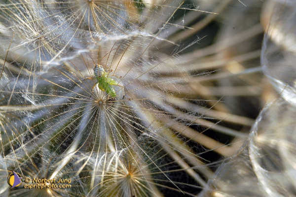 Nom de l'image : Fond_D_Ecran_D1035461-01 — Description :