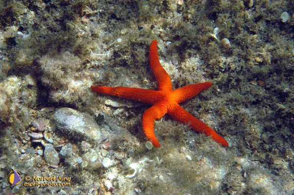 Nom de l'image : Fond_D_Ecran_D1055047-Sel-01 — Description :