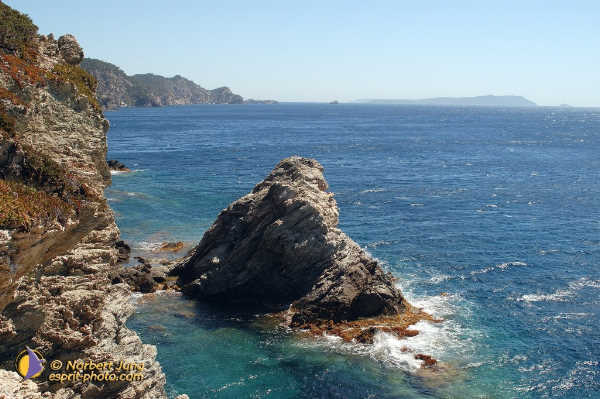 Nom de l'image : Fond_D_Ecran_D1055277-Nef-Sel-01 — Description :