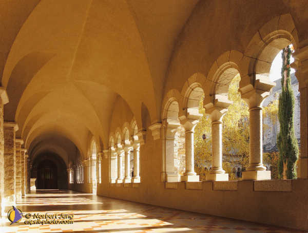 Nom de l'image : Fond_D_Ecran_D1088470-Nef-02-01 — Description :