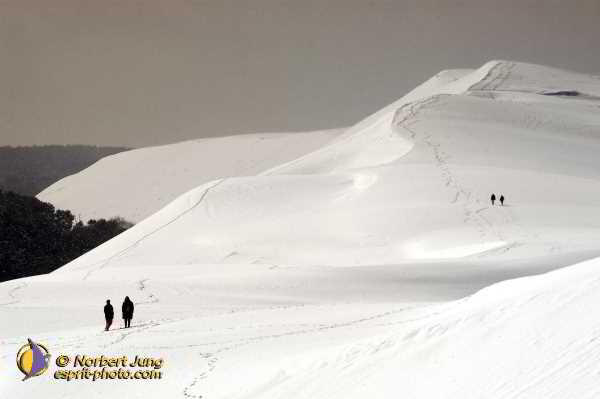 Nom de l'image : Fond_D_Ecran_D1111950-Nef-01 — Description :