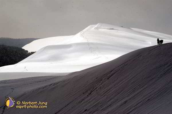 Nom de l'image : Fond_D_Ecran_D1111980-Nef-01 — Description :