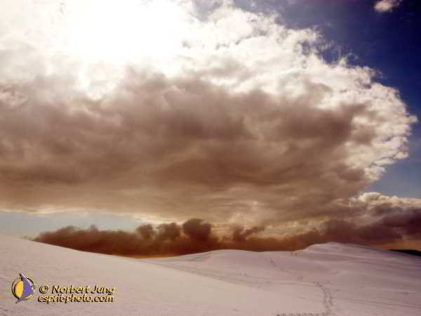 Nom de l'image : Fond_D_Ecran_D1112129-Nef-01-1600Pix — Description :