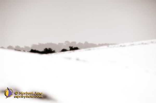 Nom de l'image : Fond_D_Ecran_D1112165-Nef-01Sep — Description :