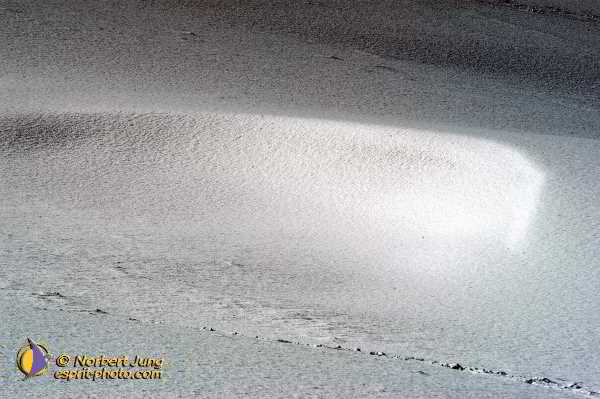 Nom de l'image : Fond_D_Ecran_D1112166-Nef-01 — Description :