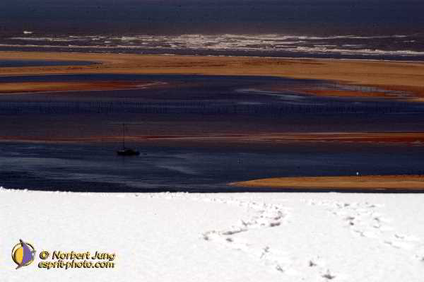 Nom de l'image : Fond_D_Ecran_D1112186-Nef-01 — Description :