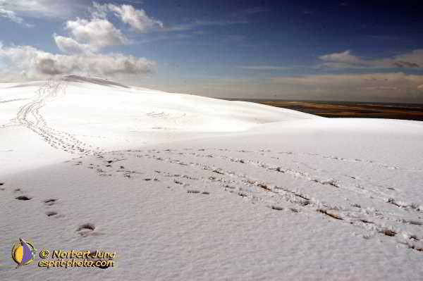 Nom de l'image : Fond_D_Ecran_D1112221-Nef-01 — Description :