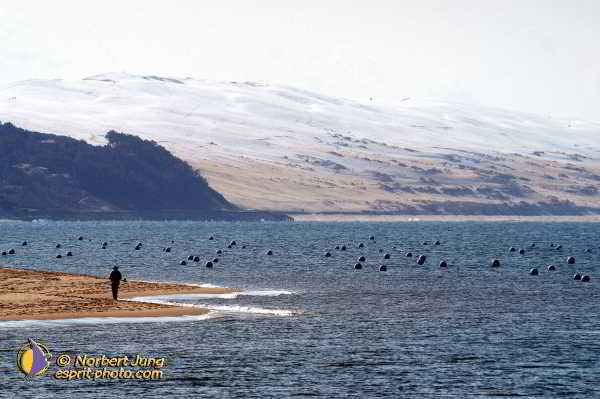 Nom de l'image : Fond_D_Ecran_D1112395-Nef-01 — Description :