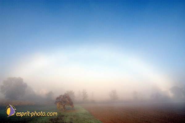 Nom de l'image : Fond_D_Ecran_Ep08-0332 — Description :