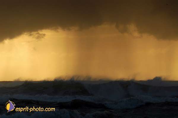 Nom de l'image : Fond_D_Ecran_Ep08-0345 — Description :