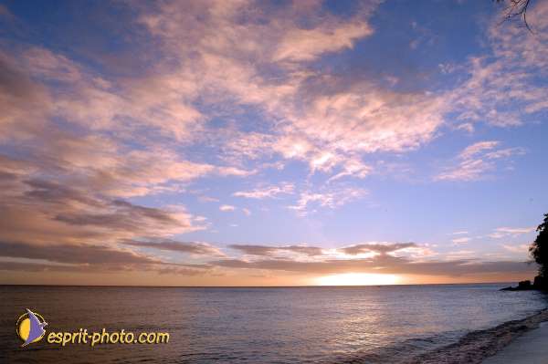 Nom de l'image : Fond_D_Ecran_Ep08-0355 — Description :